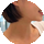 しほ